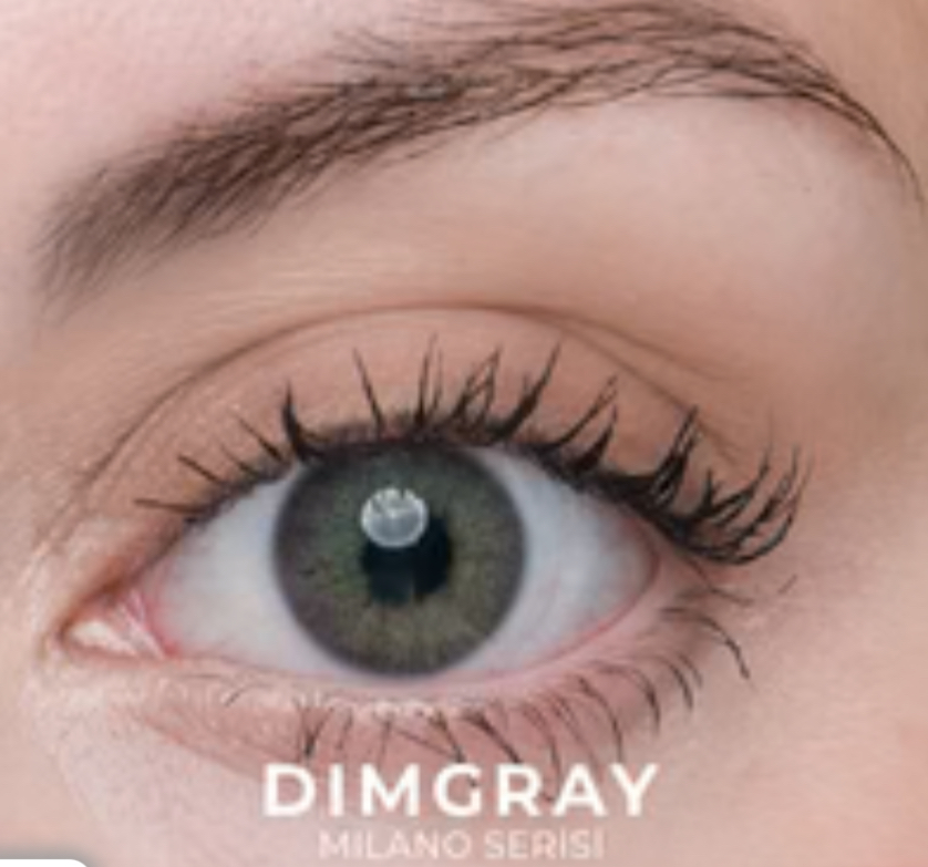 DIMGRAY